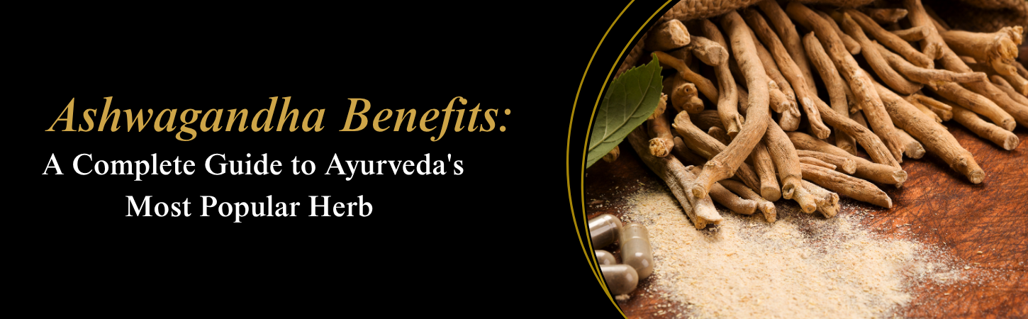Ashwagandha Benefits: A Complete Guide to Ayurveda's Most Popular Herb