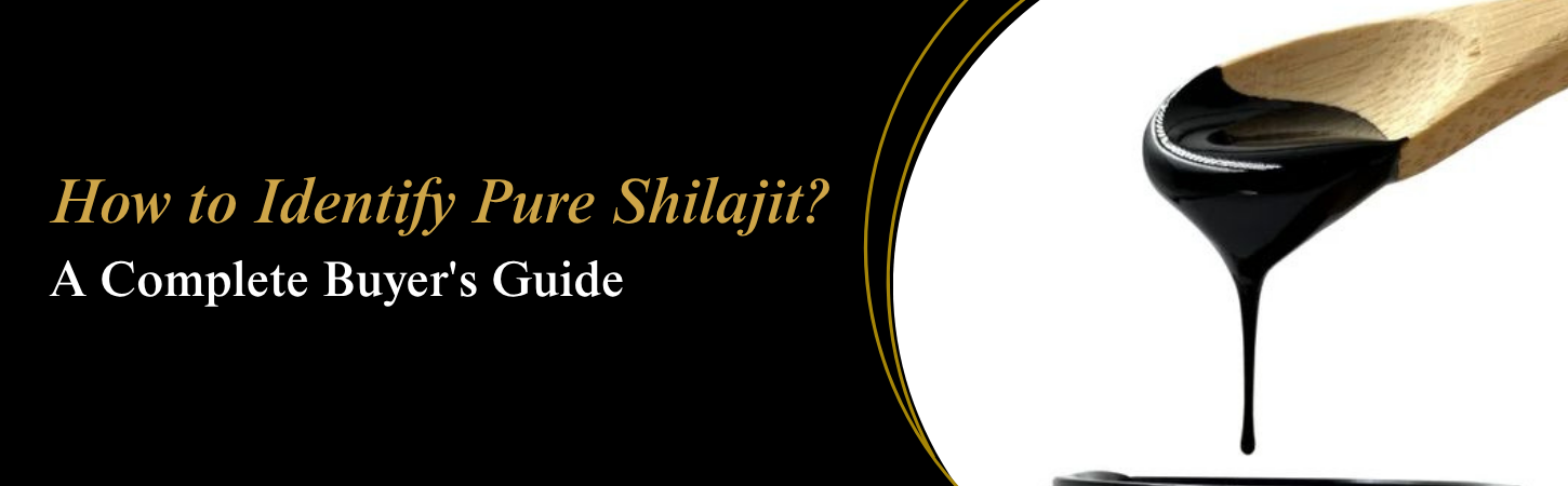 How to Identify Pure Shilajit? A Complete Buyer's Guide