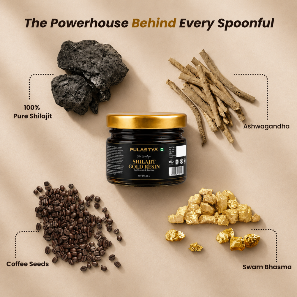 Pulastya Shilajit Gold Resin | Ayurvedic Energy & Vitality Booster | 20GM