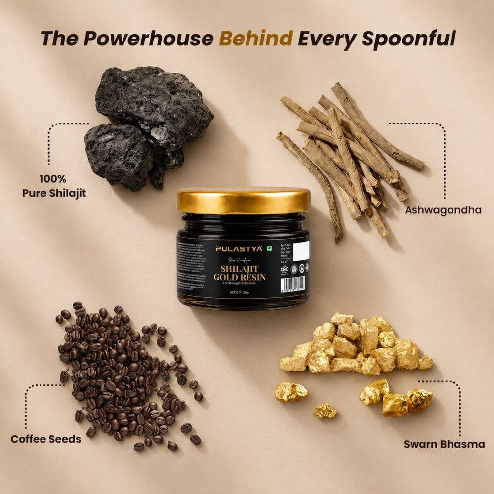 Pulastya Shilajit Gold Resin | Ayurvedic Energy & Vitality Booster | 20GM